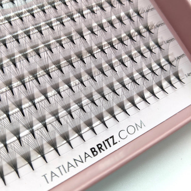 TB Pro Fans - TB lashes.brows.beauty